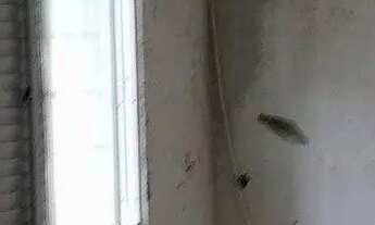 Imagem 6: Casa para Venda em Florianópolis, Balneário, 3 dormitórios, 1 banheiro, 3 vagas