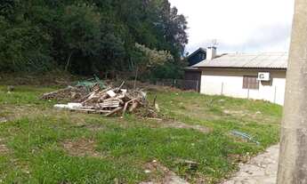 Imagem 3: Terreno - Bairro Floresta