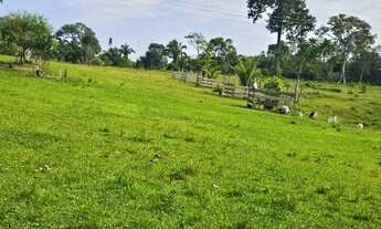 Imagem 6: Fazenda 1.500 x 2.000 Autazes 1.103.000