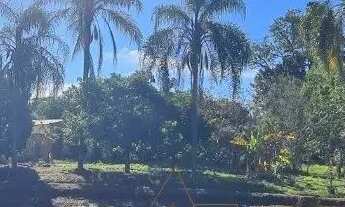 Imagem 2: Chácara à venda em Quadra-SP, bairro Aleluia: 3 quartos, 1 sala, 2 banheiro, 120,00m² de á