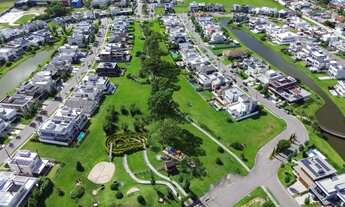 Imagem 3: Veredas | Fundos bosque