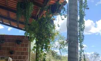 Imagem 6: Venda ou troca pego imóvel e veículo