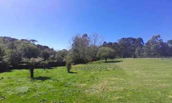 Imagem 2: Area - Bairro Tapera