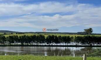 Imagem 2: 1293289 - Lindo Sítio de 17,2 ha no Cerrito a 8 kms da cidade