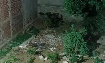 Imagem 7: Casa a venda Casa com 2 dormitórios