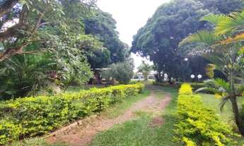 Imagem 6: Chácara 20.000 m² Formada Núcleo Rural Casa Grande Gama DF