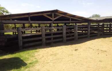 Imagem: Fazenda Extra 151 Alqueires - Dupla Aptidão!