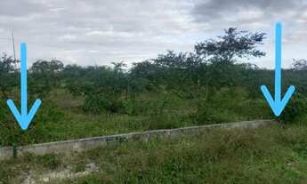 Imagem 2: Terreno a venda em Simão Dias - Sergipe