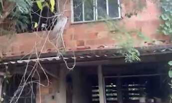 Imagem 2: Vendo casa com terreno grande na Trindade SG