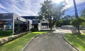 Imagem 5: Sala Comercial Térrea - 430 m²