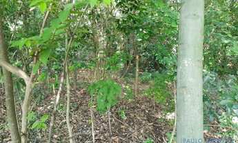 Imagem 7: TERRENO - RESIDENCIAL JARDIM PARANÁ - SP