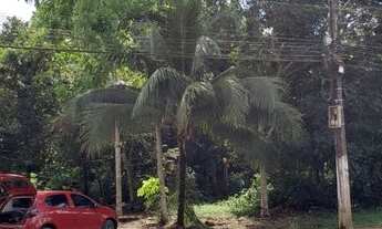 Imagem 4: 80% de Desconto em toda área (3.982,5m2). 12 Terrenos na Área Central de Belterra