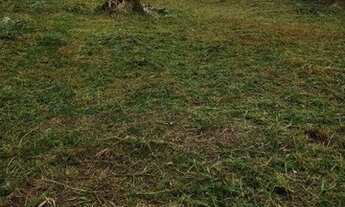 Imagem 2: Terreno à venda, 360 m² por R$ 120.000,00 - São José do Imbassaí - Maricá/RJ