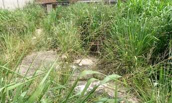 Imagem: Lote/Terreno para venda tem 360 metros quadrados