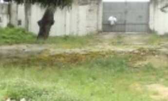 Imagem 5: Casa em Candelária com 4 quartos - 990 metros de área total. Excelente localização. Vias a