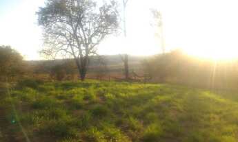 Imagem 3: Chácara com #10 mil mts2