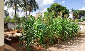 Imagem 4: Terreno à Venda, 458 m² - Vila Rica - Jandaia do Sul/PR