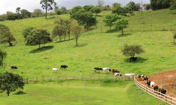 Imagem: LE - Fazenda com 1 de entrada