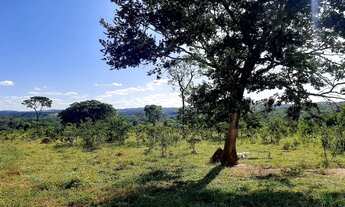 Imagem 3: Empreendimento com rede de água encanada já instalada, terá rede elétrica, e vias compacta