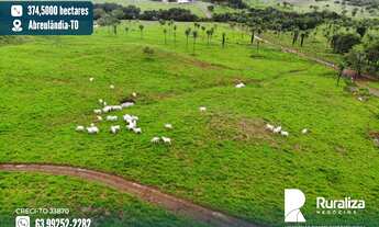 Imagem: Fazenda com solos de altíssima fertilidade