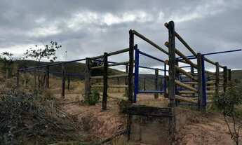 Imagem 2: Fazenda de 20 hectares em Lagamar-MG