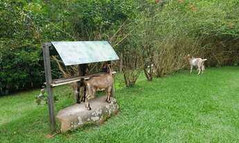 Imagem 5: Compre Casa Campestre em Moeda-MG - Lindo pomar com Jabuticaba e muito mais!
