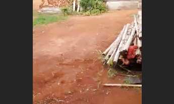 Imagem: Vendo ágio de casa arco do triunfo