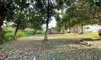 Imagem 6: Casa de alvenaria em chácara com terreno aproximado de 1 hectare