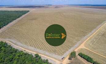 Imagem 6: Fazenda com 2 dormitórios à venda, 50000 m² por R$ 270.000.000 - Zona Rural - Nova Maringá