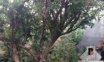 Imagem 11: Terreno Tatuape Terreno / lote com venda por R$1.400.000