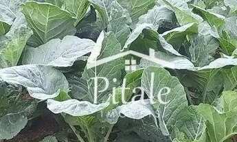 Imagem 5: Chácara à venda, 1396 m² por R$ 440.000,00 - Água Espraiada (Caucaia do Alto) - Cotia/SP