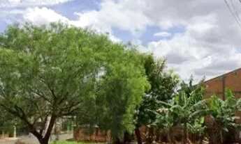 Imagem 4: Terreno em rua - Bairro Jardim Planalto em Londrina