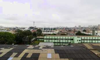 Imagem 6: São Paulo - Apartamento Padrão - Vila Maria