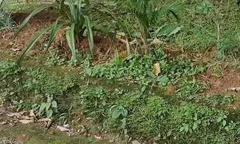 Imagem 6: Casa bairro mosela 903