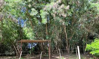 Imagem: área - Dois Córregos - Valinhos