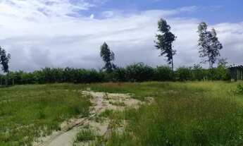 Imagem 6: Fabicação de tijolos