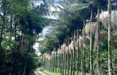 Imagem 6: Lotes planos Terreno / lote com venda por R$69.990