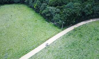 Imagem: Terreno com nascente no Bairro Dias, Ibiuna
