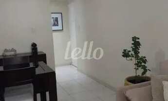 Imagem 5: São Paulo - Apartamento Padrão - Brás