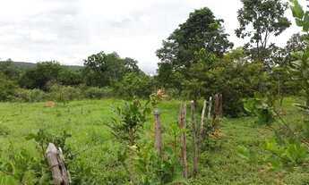 Imagem 2: Fazenda 553 Hectares valor 4.500.000 entre o município de Buritis mg município arinos mg