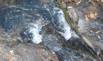 Imagem 4: Sitio com uma casa com 5,700 metros quadrados