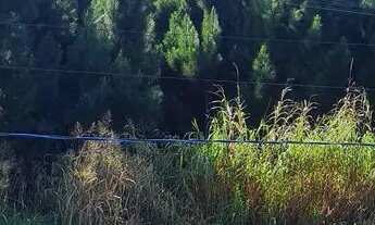 Imagem: VENDO CASA PRAIA DO ERVINO OU TROCO