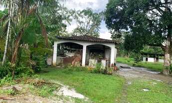 Imagem 2: Terreno Curuçamba