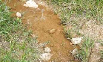 Imagem 7: Fazenda/Sítio/Chácara para venda tem 8400 metros quadrados com 2 quartos