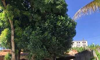 Imagem: Casa na arniqueiras