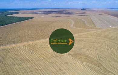 Imagem 7: Fazenda com 2 dormitórios à venda, 50000 m² por R$ 270.000.000 - Zona Rural - Nova Maringá