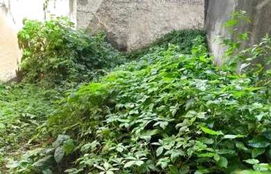 Imagem 6: Duplex no centro de Santana do Acaraú