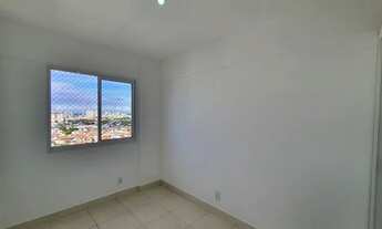 Imagem 7: Arboris Jabotiana