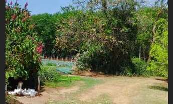 Imagem 2: Sítio com 22.800m2 em Bady Bassitt