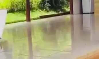 Imagem 3: Chácara Lazer Goianira pega troca